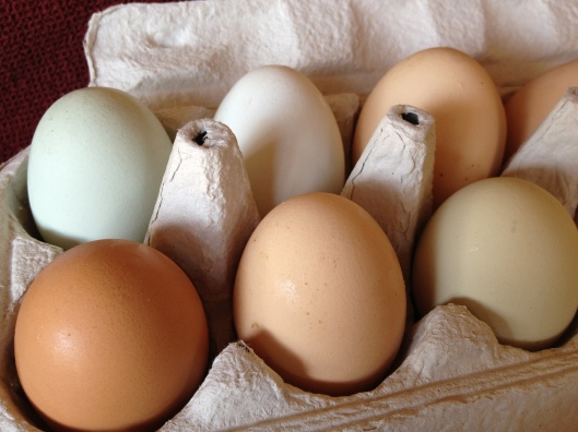 Farm Fresh Eggs Recipe via Tsiporah Blog