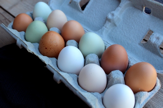 Organic, Farm Fresh, Cage Free Eggs via Tsiporah Blog