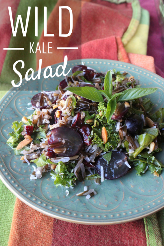 Wild Kale Salad Recipe - Autumn Salad Recipe | via Tsiporah Blog